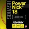 Ashaway PowerNick 18 Squashsaite -Schlägerausrüstung Geschäft 149 0