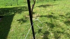 Sunflex Badmintonset MATCHMAKER 4 -Schlägerausrüstung Geschäft 53547 Badmintonset Matchmarker 4 Action detail